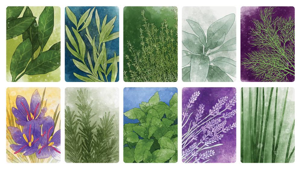 ks herbaceous-illus