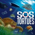 SOS Tortues en images