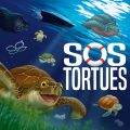 SOS Tortues Avis des membres