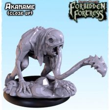 Shadows of Brimstone: Forbidden Fortress