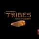 Jeu Tribes Early Civilization - Kickstarter Tribes Early Civilization - KS Tea Time Productions