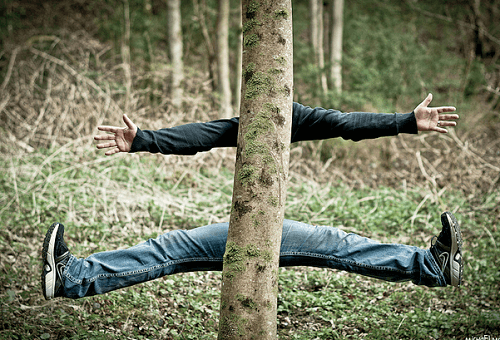 Et paf dans l'arbre