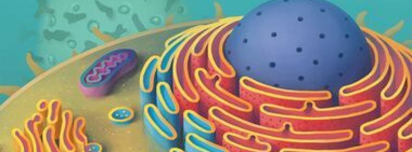 Jeu Cytosis - Kickstarter Cytosis - KS Genius Games