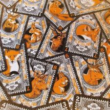 Jeu TRUT - Kickstarter Trut - Robin Red Games