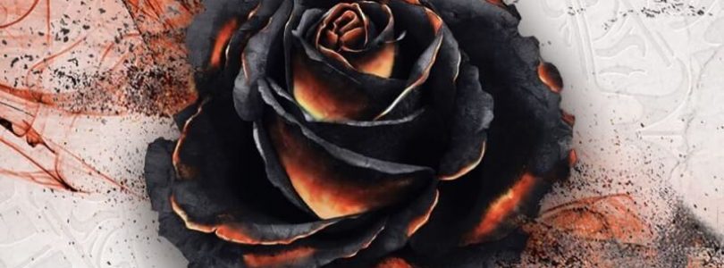 Jeu Black Rose Wars par Ludus Magnus - boite