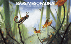 jeu Bios: Mesofauna de Phil Eklund - par Sierra Madre Games